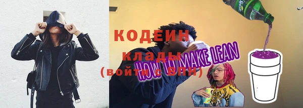 прущий лед Лиски