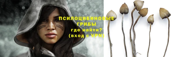амф Семёнов