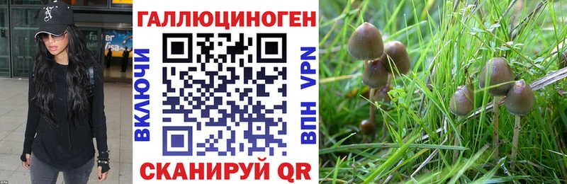 Галлюциногенные грибы мухоморы  Юхнов 